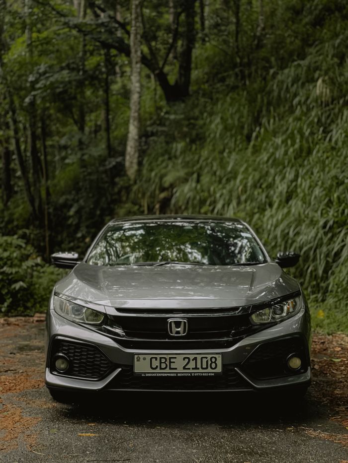 A sleek gray Honda Civic parked amid lush greenery in a serene forest setting.
